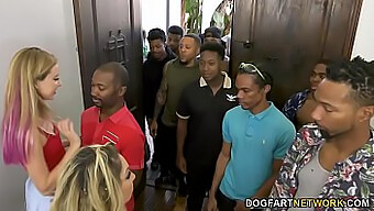 Milf Haley Reed And Her Mom Kiki Daire Take On 12 Black Men In A Wild Orgy