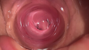 Menunjukkan Creampie Di Dalam Memek Adik Tiri Saya - Blowjob Dan Deepthroat