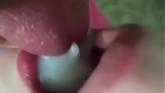 Cumshot In Mouth After Blowjob