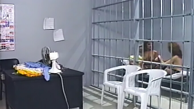 Garotas De Liberdade Condicional: Vídeo Pornô Clássico Dos Anos 90