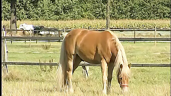 Stram Fisse Teen Bliver Fingret Og Stønner I Hjemmelavet Video