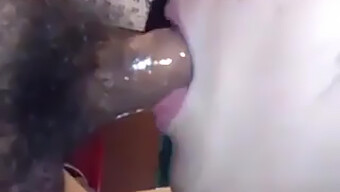 Blowjob Og Cum Slugning Af En Busty Asiatisk