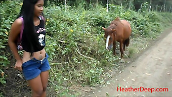 Video Hd Subido De Un Hombre Meando Junto A Un Caballo En La Selva